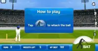 Cricket 2 mb Games Screen Shot 2