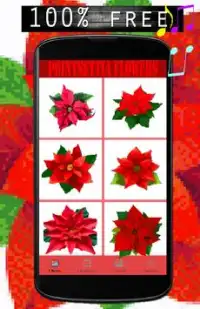 Pointsettia Flowers Color By Number-Pixel Art Screen Shot 1