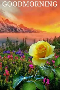 Good morning Images Gifs, Flowers Roses wallpapers Screen Shot 3