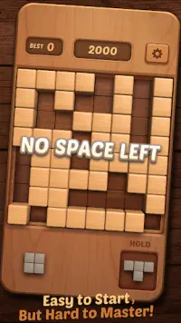Wood Block Puzzle 3D Screen Shot 16