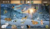 Winter Wonders - Hidden Object Screen Shot 0