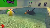 the Amazing Sim frog 3D Screen Shot 0