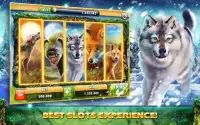 Cats Dogs Slots&Slot machines Screen Shot 1