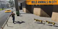 Wild Animal Attack Survival:  Sniper Shooter Screen Shot 6