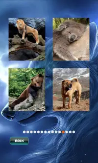 Animals Jigsaw Puzzle Screen Shot 3