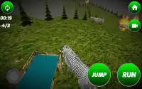 Angry Zebra Simulator Screen Shot 1