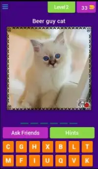 Cat Lovers Guess The Cat Game Screen Shot 3