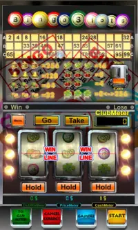 bingo máquina slot livre Screen Shot 0