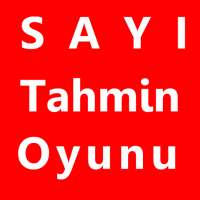 Sayı Tahmin Oyunu