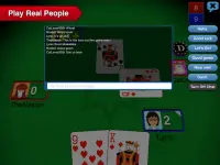 Euchre 3D Screen Shot 9