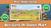 Peter Rabbit Escape Screen Shot 1