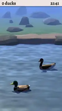 99 Ducks Screen Shot 2