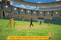 World Cricket International Fight Tournament Screen Shot 10