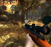 Perburuan Rusa Klasik Game Baru: Game Shooting Screen Shot 7