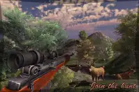 🦌 Open Season - Deer Hunting Wildlife 🐻 Screen Shot 8