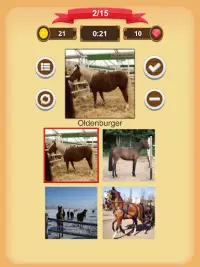 Paarden - Quiz Screen Shot 15