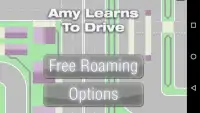 Amy Learns to Drive Screen Shot 2