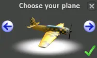 World Air Race Screen Shot 3