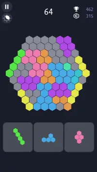 Hex 101! Hexagonal Block Puzzle Game Screen Shot 5