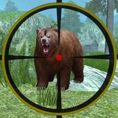 Bear Hunting Challenge