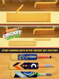 Indian Cricket Game Story Screen Shot 1