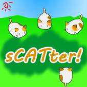 sCATter!