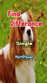 New Find the Difference Games Screen Shot 0
