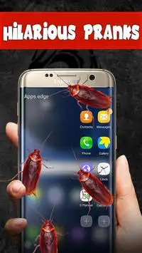 Cucaracha en Phone Brank - Scary Joke Screen Shot 1