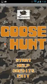 Goose Hunt Screen Shot 0