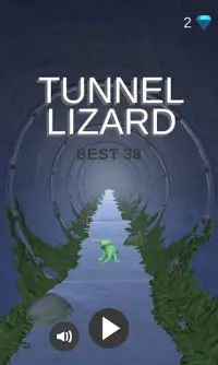 Tunnel Lizard Screen Shot 0