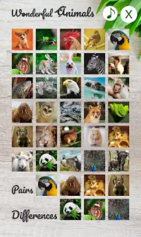 Wonderful Animals Screen Shot 1