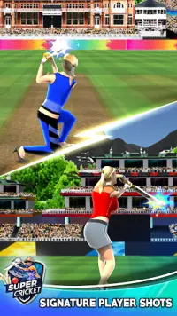 Woman Cricket Games - Quick Batting Screen Shot 2