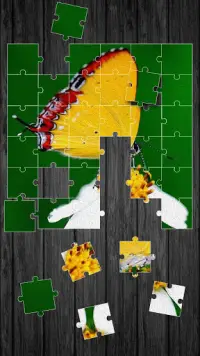 Kupu-kupu Permainan Puzzle Screen Shot 2