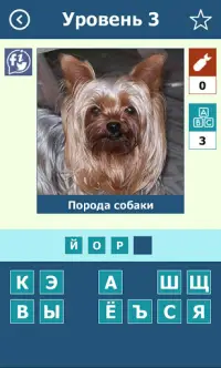 Породы собак: Викторина Screen Shot 2