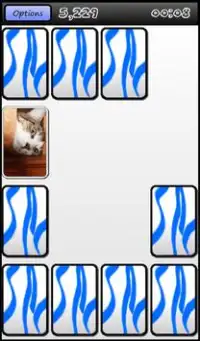 Match Cat Screen Shot 0