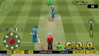 Real Cricket™ 17 Screen Shot 4