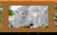 hayvanlar bulmaca - orman Screen Shot 7