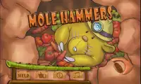 Mole Hammer Screen Shot 3