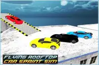 Flying Rooftop Car Sprint Sim Screen Shot 2