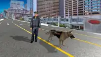 Hund Verfolgungsjagd Spiele : Polizei Kriminalität Screen Shot 3