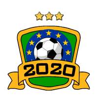 EURO 2020 Coach