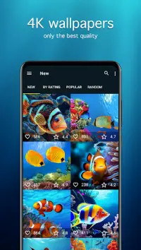 Fish Wallpapers 4K Screen Shot 1