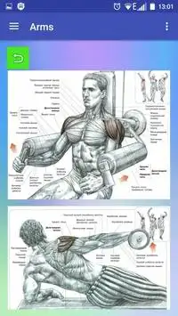 All exercises for all muscles Screen Shot 0