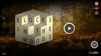 Blocks in the Woods Screen Shot 1