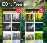 Forest Color By Number-Landscape Pixel Art Screen Shot 1