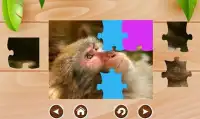 Monkeys Kid Jigsaw Puzzle Screen Shot 2