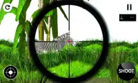 Sniper Zebra Hunting Screen Shot 1