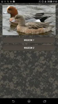 Duck hunting calls Screen Shot 1