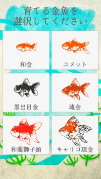 癒しの金魚育成ゲーム Screen Shot 3