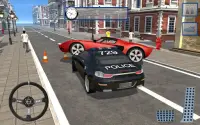 Border Police Patrol Duty Sim Screen Shot 4